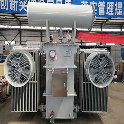 冕宁S20-8000KVA变压器